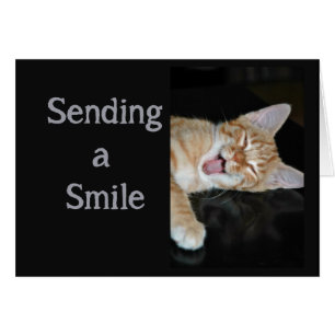 Encouraging Get Well Smiles Cute Smiling Cat