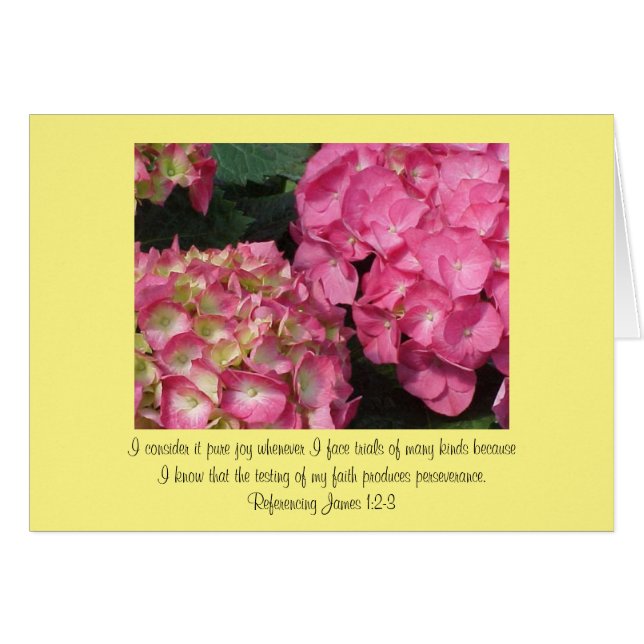 Encouraging Scripture James 1:2-3 (Front Horizontal)