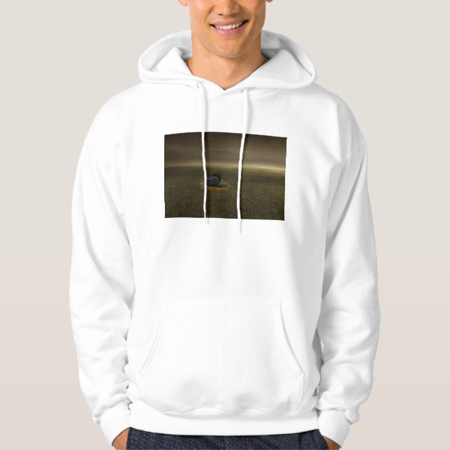 End of a goal 2013 hoodie (Front)