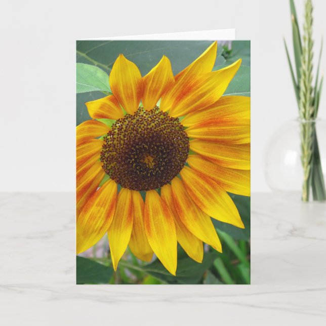 End of Summer Sunflower card (Front)