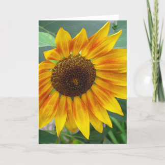 End of Summer Sunflower card