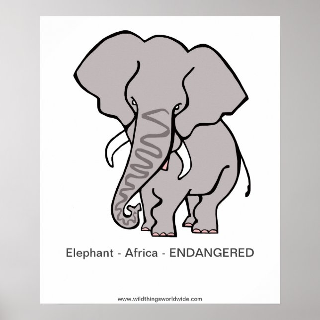 Endangered  African Elephant - conservation - Poster (Front)
