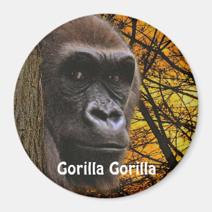 Endangered African Gorilla Great Ape Art Magnet