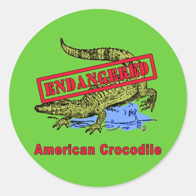 Endangered American Crocodile Products Classic Round Sticker (Front)