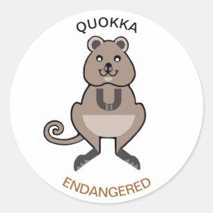 Endangered animal - Cute Aussie - QUOKKA- Wildlife Classic Round Sticker