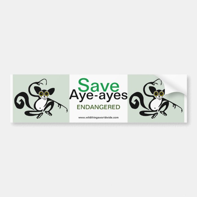 Endangered animal - Save AYE-AYES - Conservation - Bumper Sticker (Front)