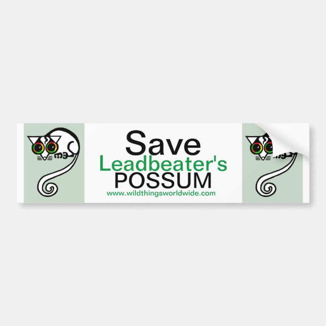 Endangered animal - Save Leadbeater's POSSUM -  Bumper Sticker (Front)