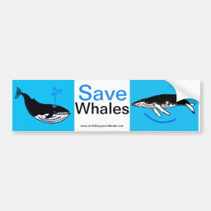 Endangered animal -  Save WHALES - Nature Bumper Sticker