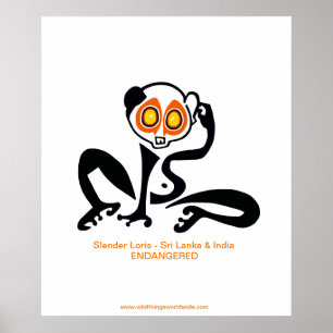 Endangered animal -Slow LORIS - poster