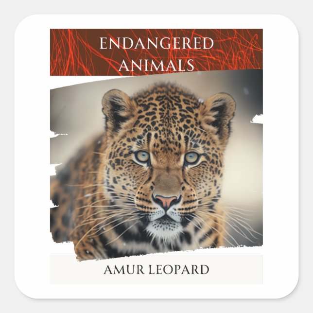 Endangered Animals - Amur Leopard Square Sticker (Front)