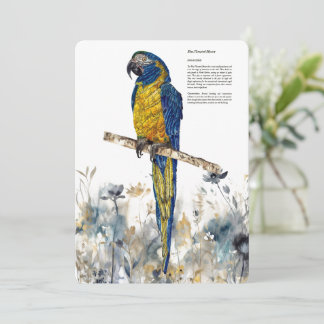 Endangered Blue-Throated Macaw Watercolours Holiday Card