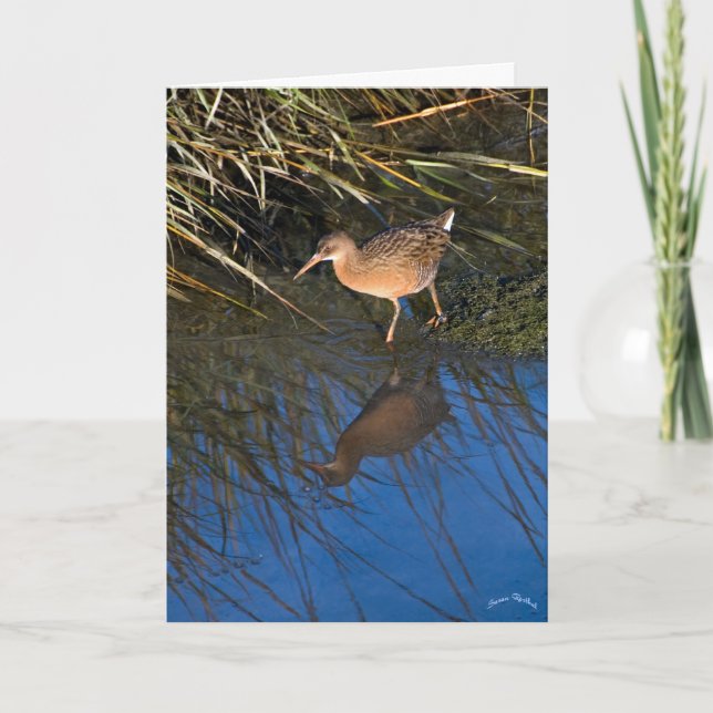 Endangered Clapper Rail Card (Front)