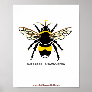 Endangered insects - BEE-- Poster