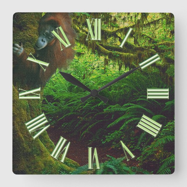Endangered Orangutan & Rainforest Primate Image 2 Square Wall Clock (Front)