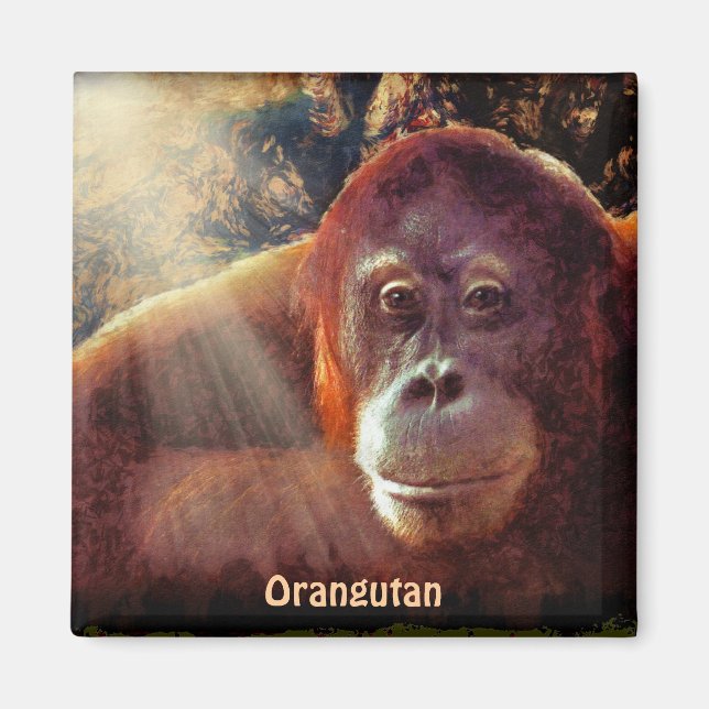 Endangered Orangutan Red Apes Wildlife Art Magnet (Front)