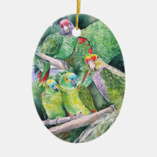 Endangered Parrots of Brazil's Atlantic Rainforest Ceramic Tree Decoration