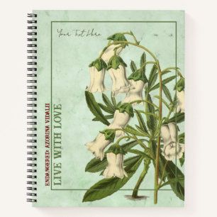 Endangered Plant species: Azorina vidalii Notebook