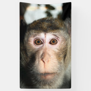 Endangered Rainforest Ape Banner