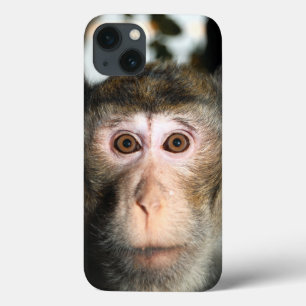 Endangered Rainforest Ape iPhone 13 Case