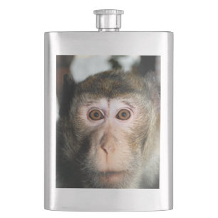 Endangered Rainforest Ape Hip Flask