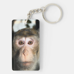 Endangered Rainforest Ape Key Ring