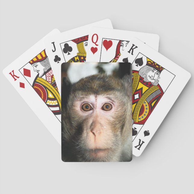 Endangered Rainforest Ape Playing Cards (Back)