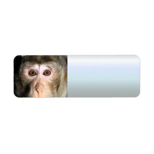 Endangered Rainforest Ape Return Address Label
