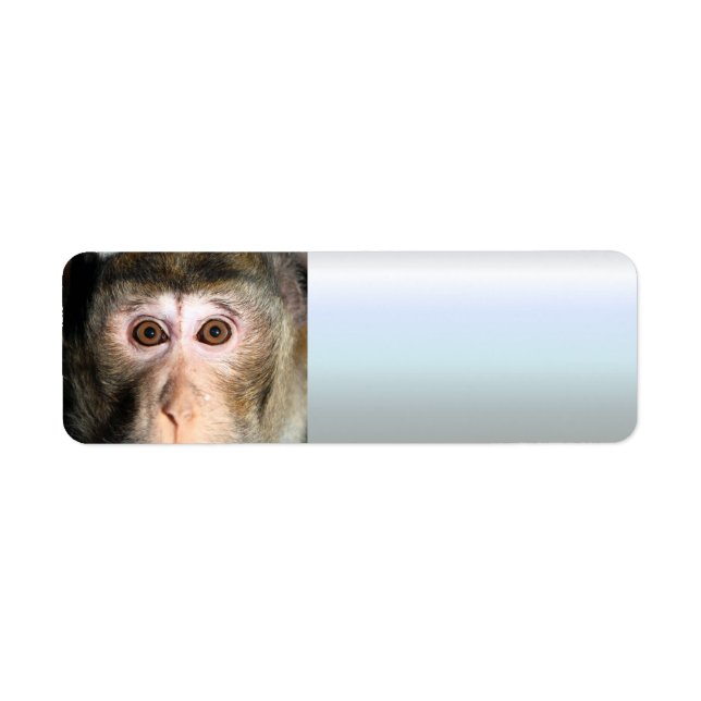 Endangered Rainforest Ape Return Address Label (Front)