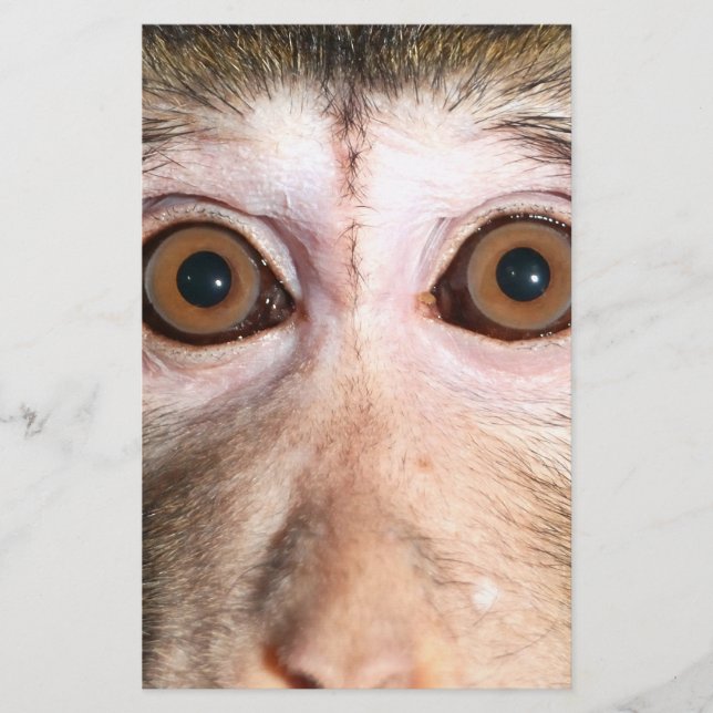 Endangered Rainforest Ape Stationery (Front)