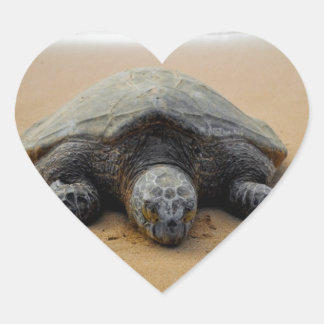 Endangered Sea Turtle Sticker