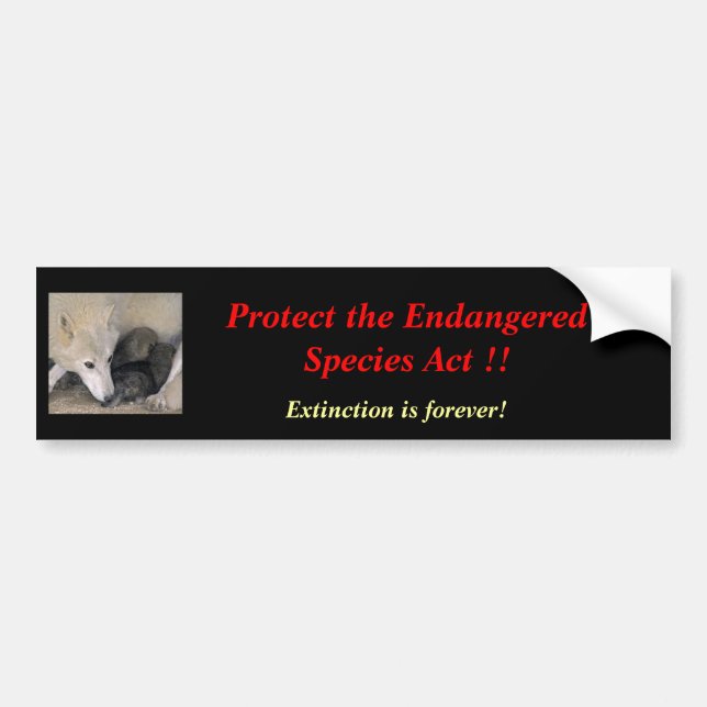 Endangered Species Bumper Sticker (Front)