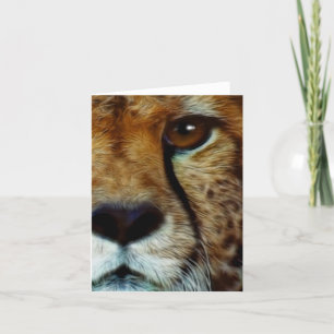 ENDANGERED SPECIES CHEETAH Greeting Card