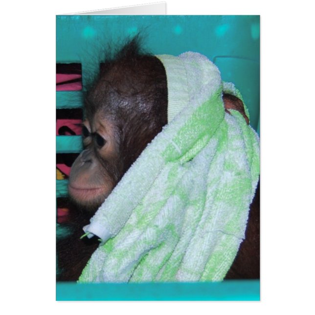 Endangered Species Sanctuary (Front)