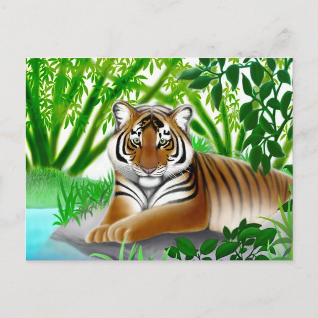 Endangered Sumatran Tiger Postcard (Front)