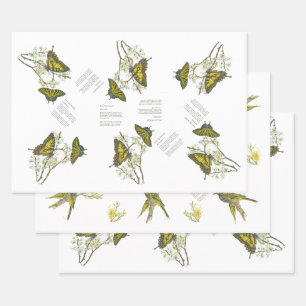 Endangered Swallowtail and Honeyeater Handpainted Wrapping Paper Sheet