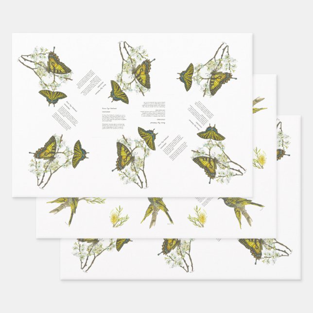 Endangered Swallowtail and Honeyeater Handpainted Wrapping Paper Sheet (Set)