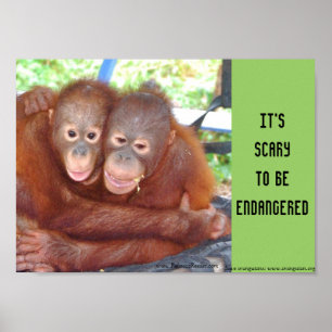 Endangered Wildlife Baby Hugs Poster