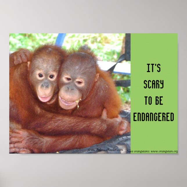 Endangered Wildlife Baby Hugs Poster (Front)