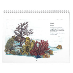 Endangered Wildlife Collection Calendar