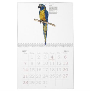 Endangered Wildlife Collection  Calendar