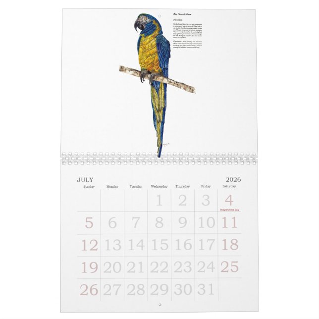 Endangered Wildlife Collection  Calendar (Jul 2026)