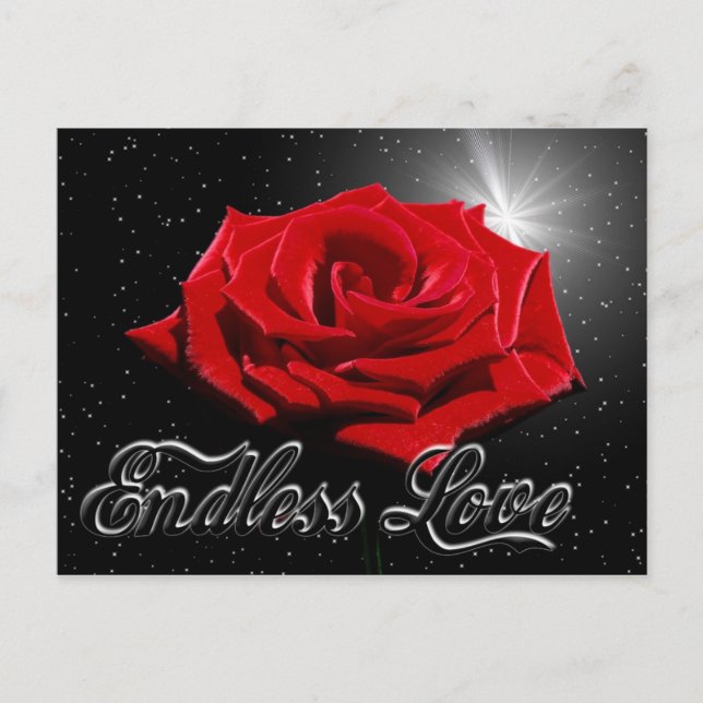 Endless Love Postcard (Front)