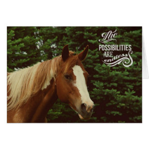 Endless Possibilities Paint Horse Mare