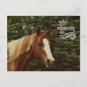Endless Possibilities Paint Horse Mare Postcard