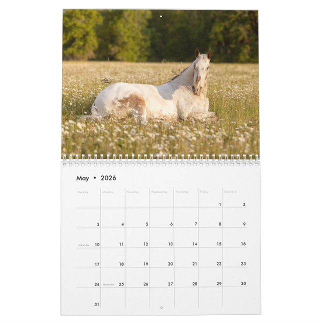 Endo The Blind 2023 Calendar (May 2026)