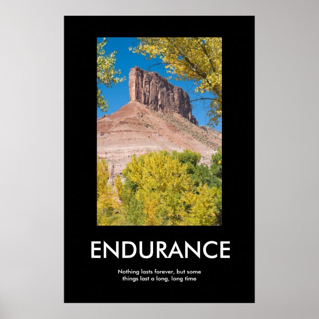 ENDURANCE POSTER (Front)