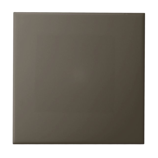 Enduringly Bronze Brown Square Kitchen and Bath Ceramic Tile (Front)