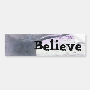 Energy and Life Bumper Sticker, Believe Sticker