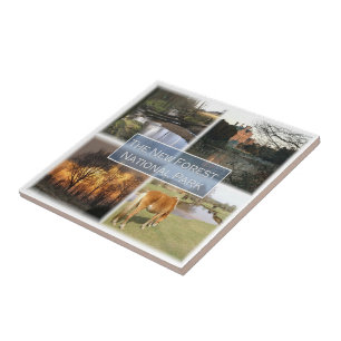 ENG041 THE NEW FORET NATIONAL PARK England, Ceramic Tile