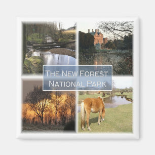 ENG041 THE NEW FORET NATIONAL PARK England, Fridge Magnet